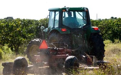 Mower